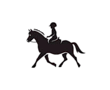 Skills improvement
